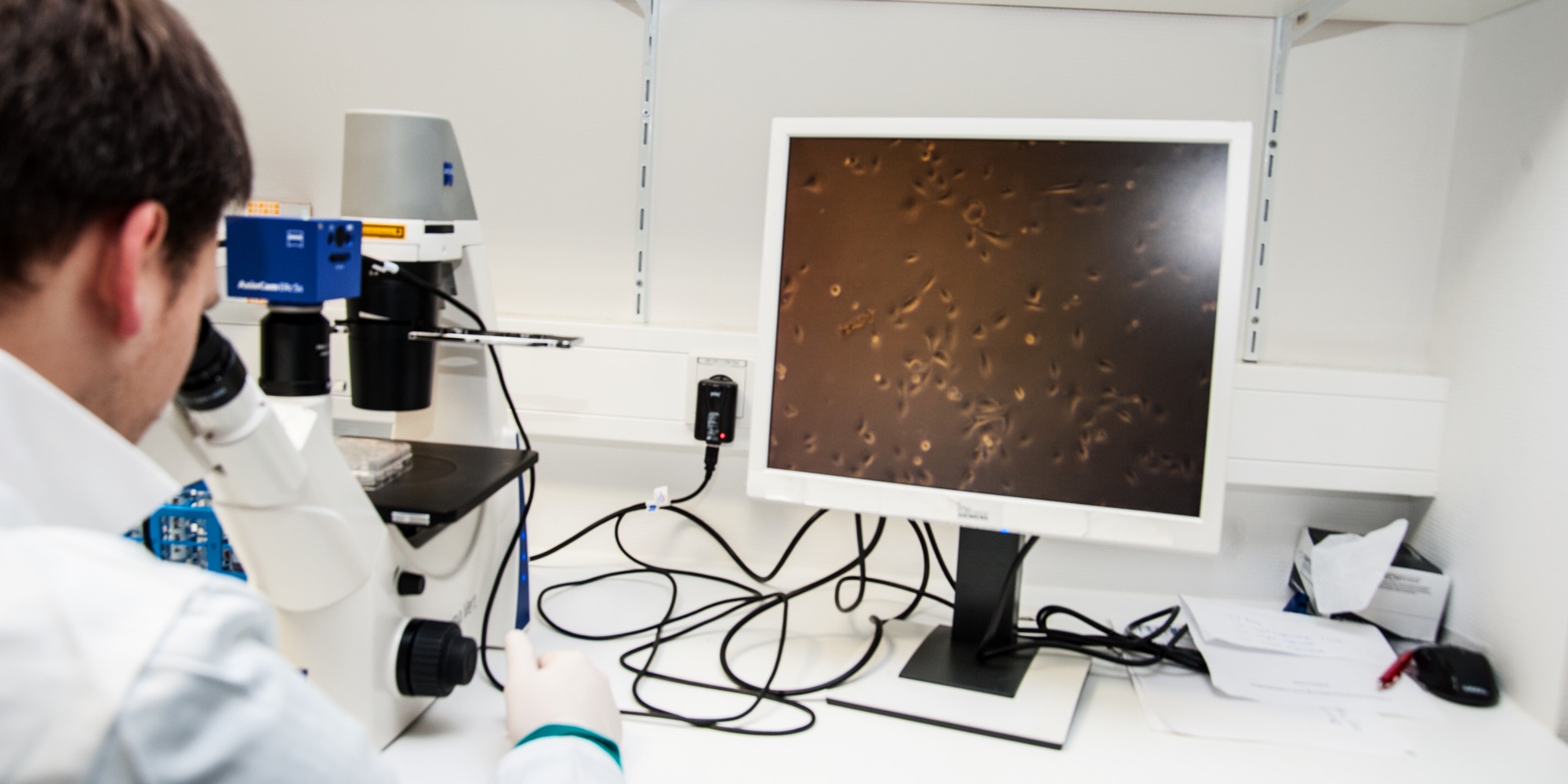 Mediziner im Labor blickt durch ein Mikroskop.