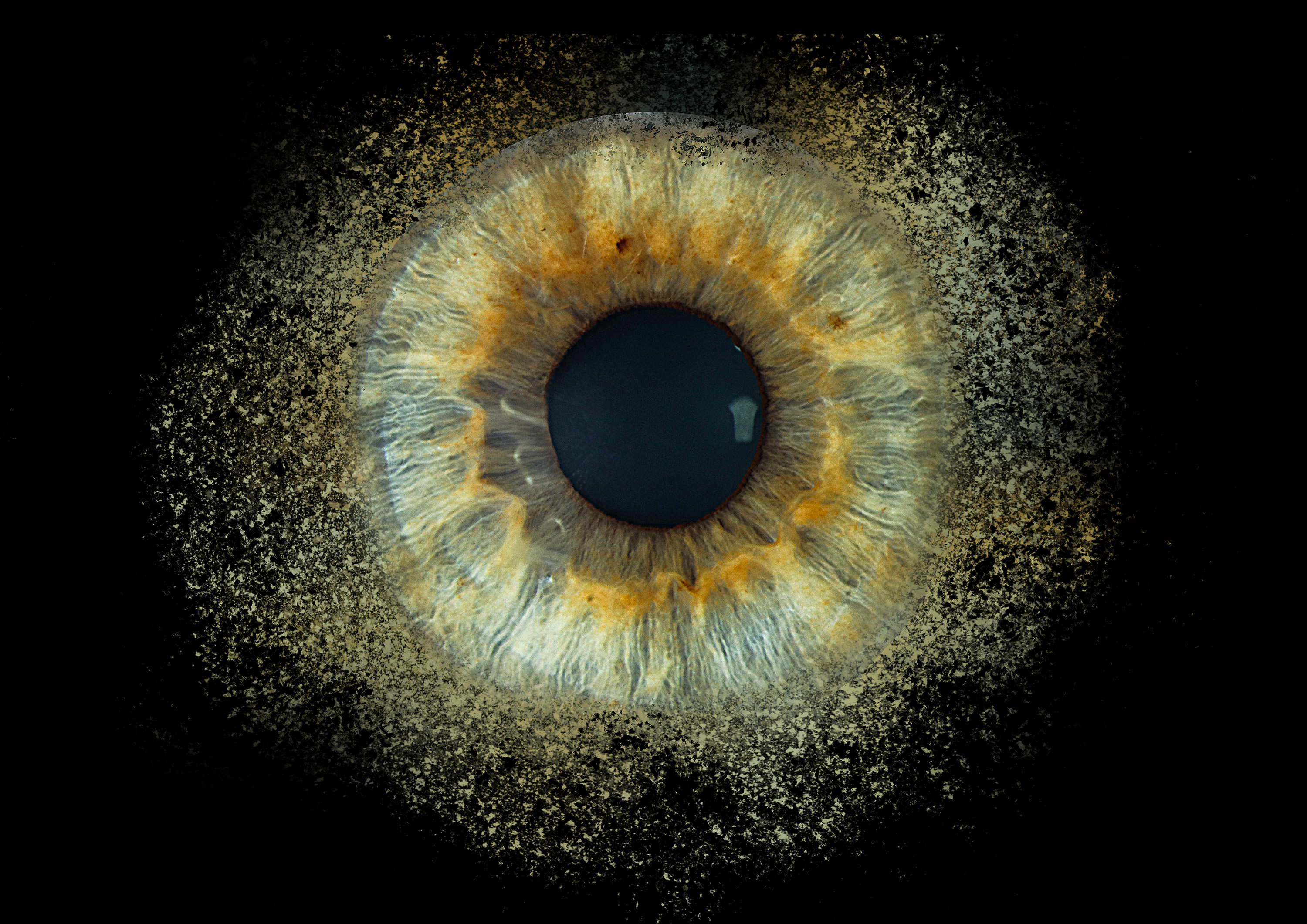 Iris-Fotografie